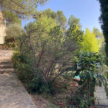 Le Gite Sous Les Pins Les Taillades Exterior photo
